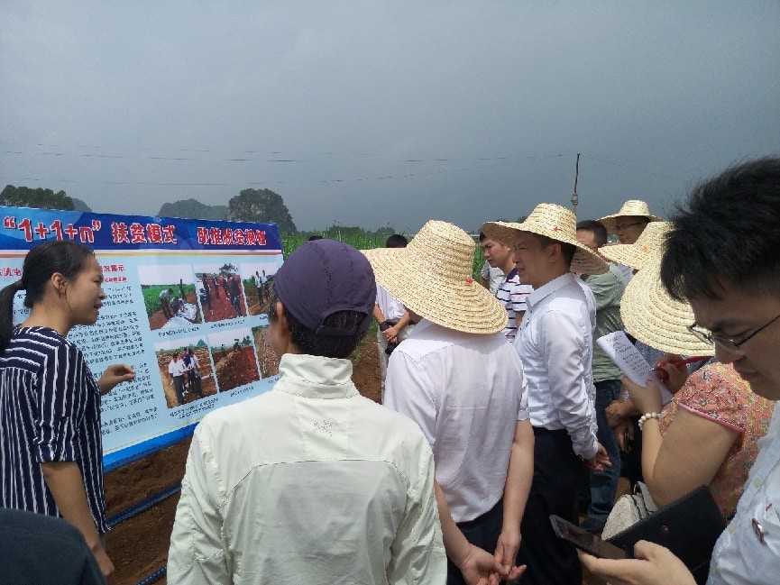 農產品冷鏈物流發(fā)展現狀